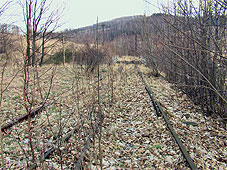 min 243 5.jpg min 243 5.jpg